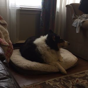Meet your Posher, Gretta